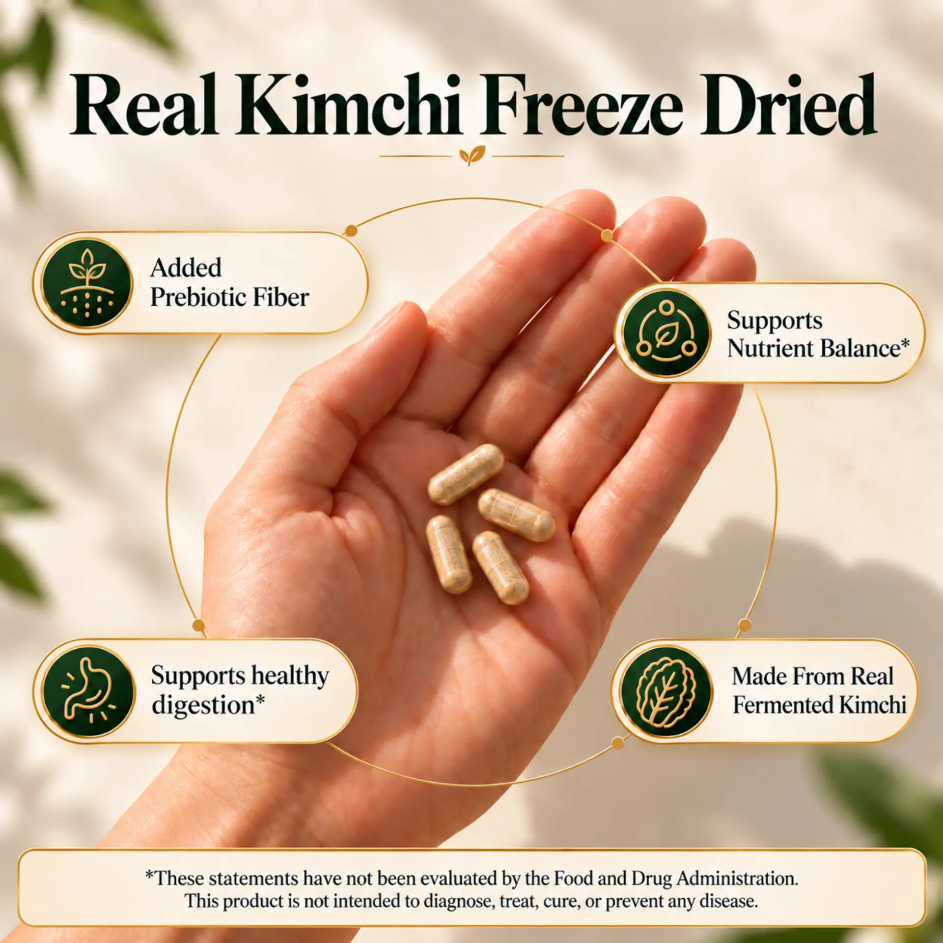 Four FroBio kimchi capsules with freeze-dried kimchi product benefits